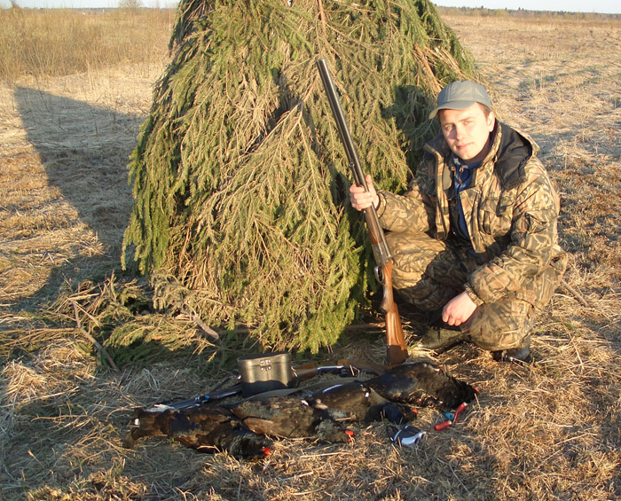 охота на тетерева в ярославской области